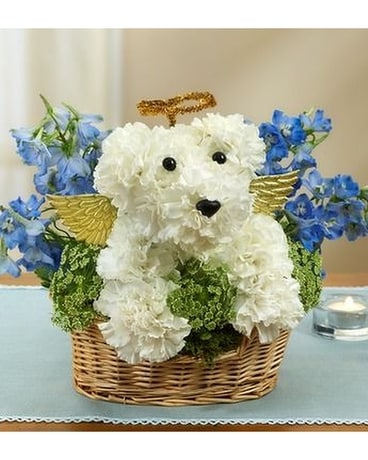 All dogs go to heaven Flower Arrangement
