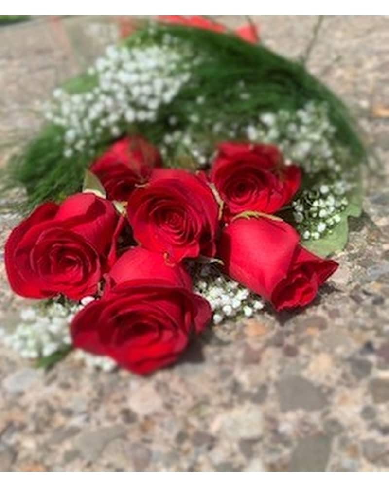 ブライスアウトフイット(roses) Sexy Rexy Floribunda Rose – Spring Hill Nurseries