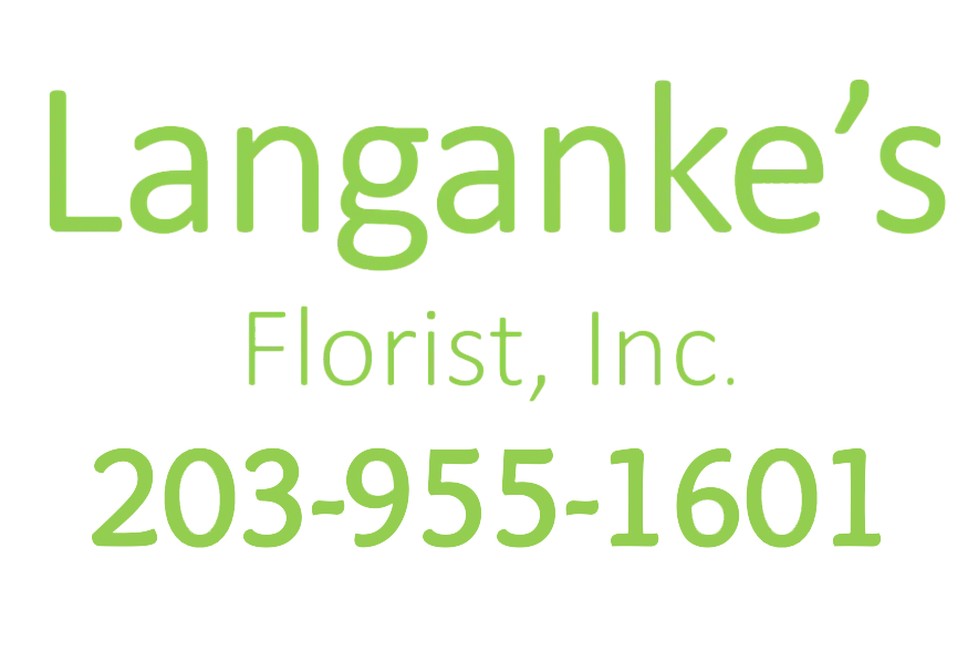 Plants Delivery Shelton CT Langanke's Florist, Inc.