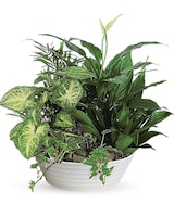  Standard size, 15 inches height and 14 inches wide.