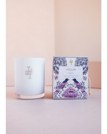 Imagine Luminary Gifts