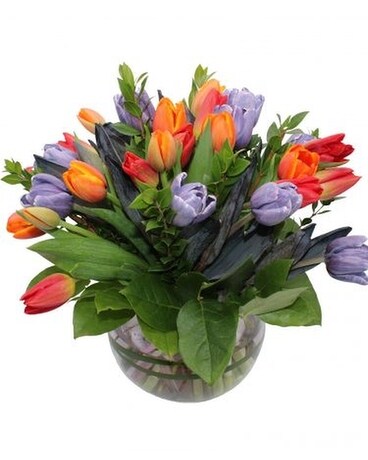 Tulips to Treasure Flower Arrangement