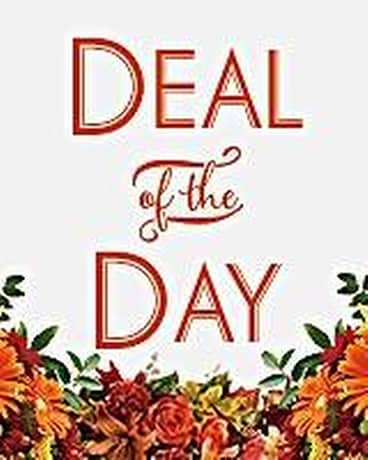 Fall Deal of the Day Flower Arrangement