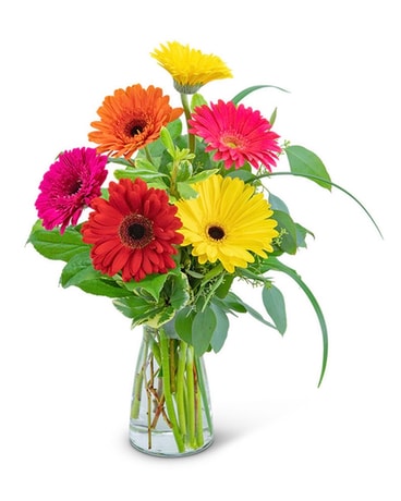 Lively Gerberas Flower Arrangement