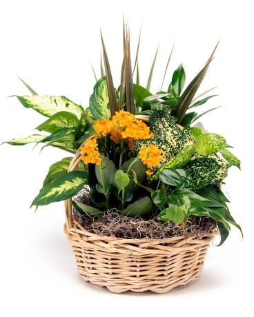 Autumn Harvest Flower Arrangement