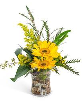 Glorious Gerbers Flower Arrangement