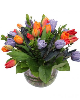 Tulips to Treasure Flower Arrangement