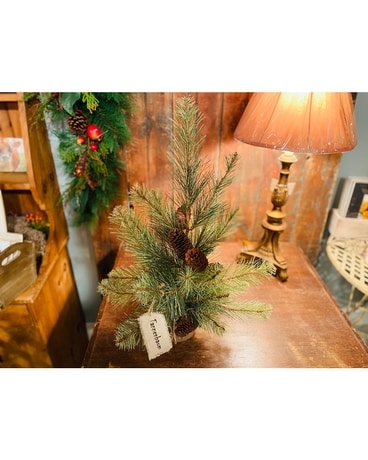 Pine/Burlap Weighted Silk Tree Gifts