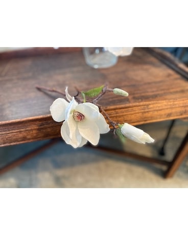 Snowy Magnolia Silk Stem-White Gifts