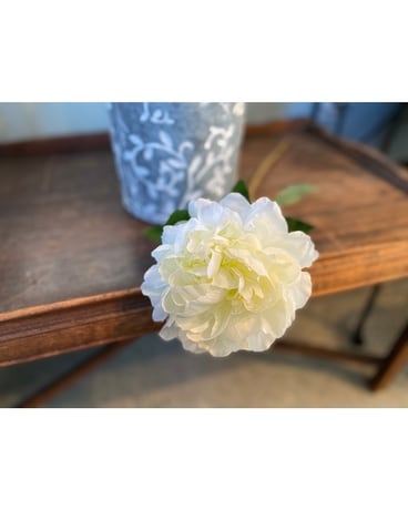 Peony Silk Stem-White Gifts