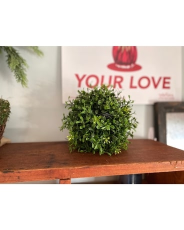 Large Boxwood Orb Flowers