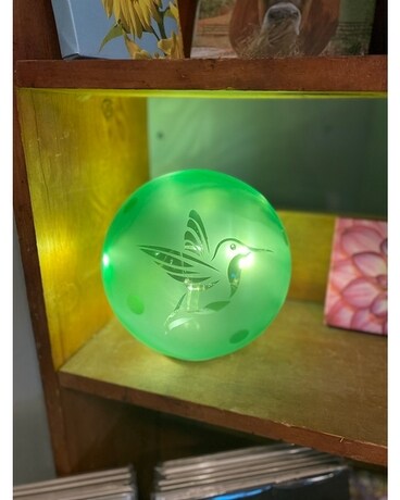 LED Hummingbird Globe W/6 Hour Timer Gifts