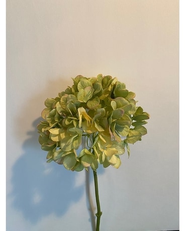 Green Hydrangea Silk Stem Flowers