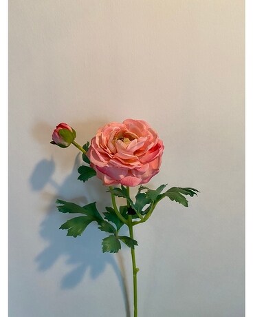 Pink Ranunculus Silk Stem Flowers