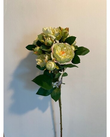 Spray Rose Silk Stem-Green Flowers