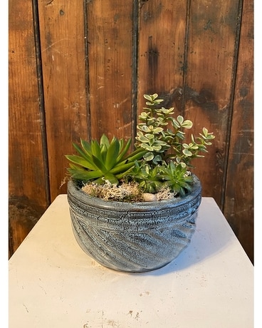 Succulent Garden In Light Blue Ceramic Plant