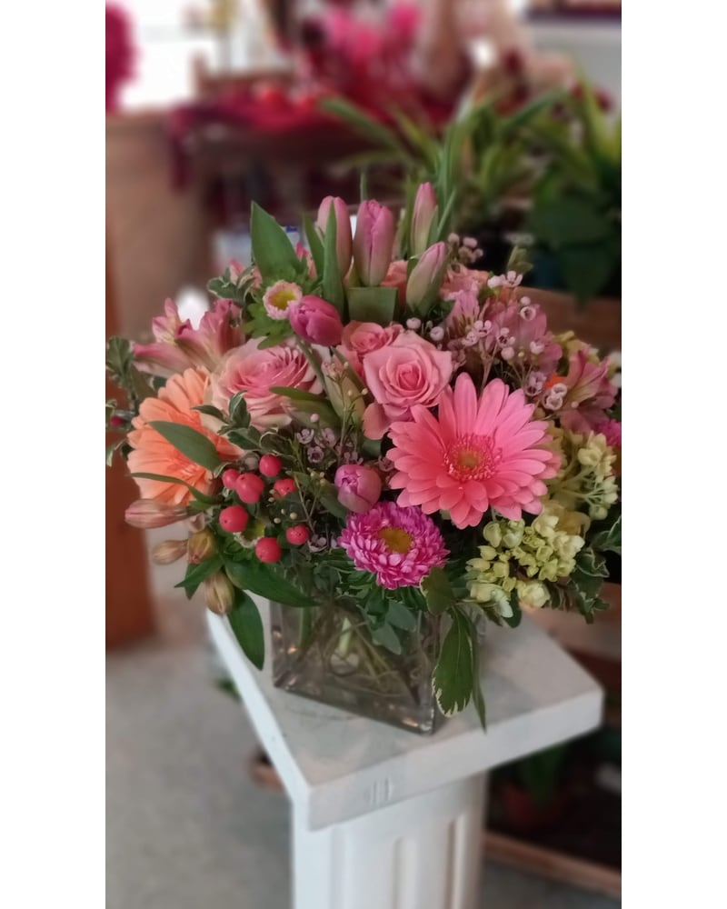 Bella Rosa in North Andover MA - Forgetta's Flowers & Greenhouses