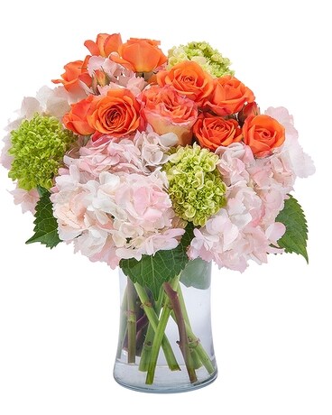 Sherwood Daydream Flower Arrangement