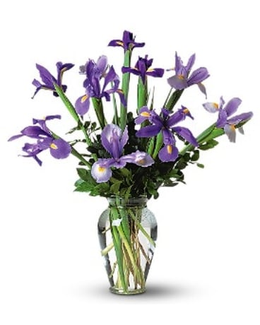 Iris Bouquet in a Vase Flower Arrangement