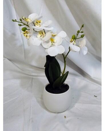 Small Orchid Flower Arrangement