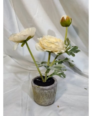 Ivory Ranunculus Custom product