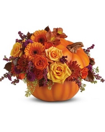 Sl Blooming Pumpkin Flower Arrangement