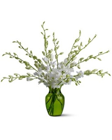 Serenity Orchids Flower Arrangement