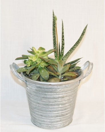 Creative Earth Plant