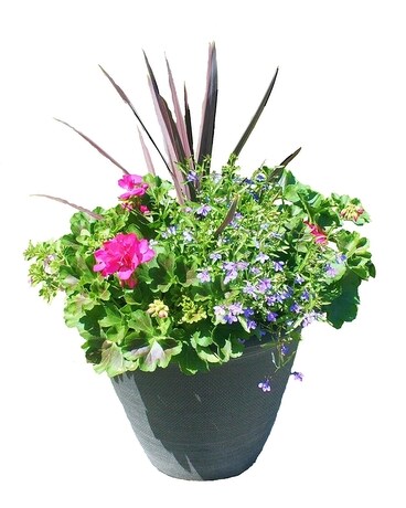 Mixed Spring Porch Pot 18 inch Flower Arrangement