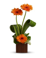 Standard size,  inches height and  inches wide.