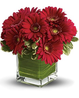 Teleflora's Southern Living Gerbera Bouquet Flower Arrangement
