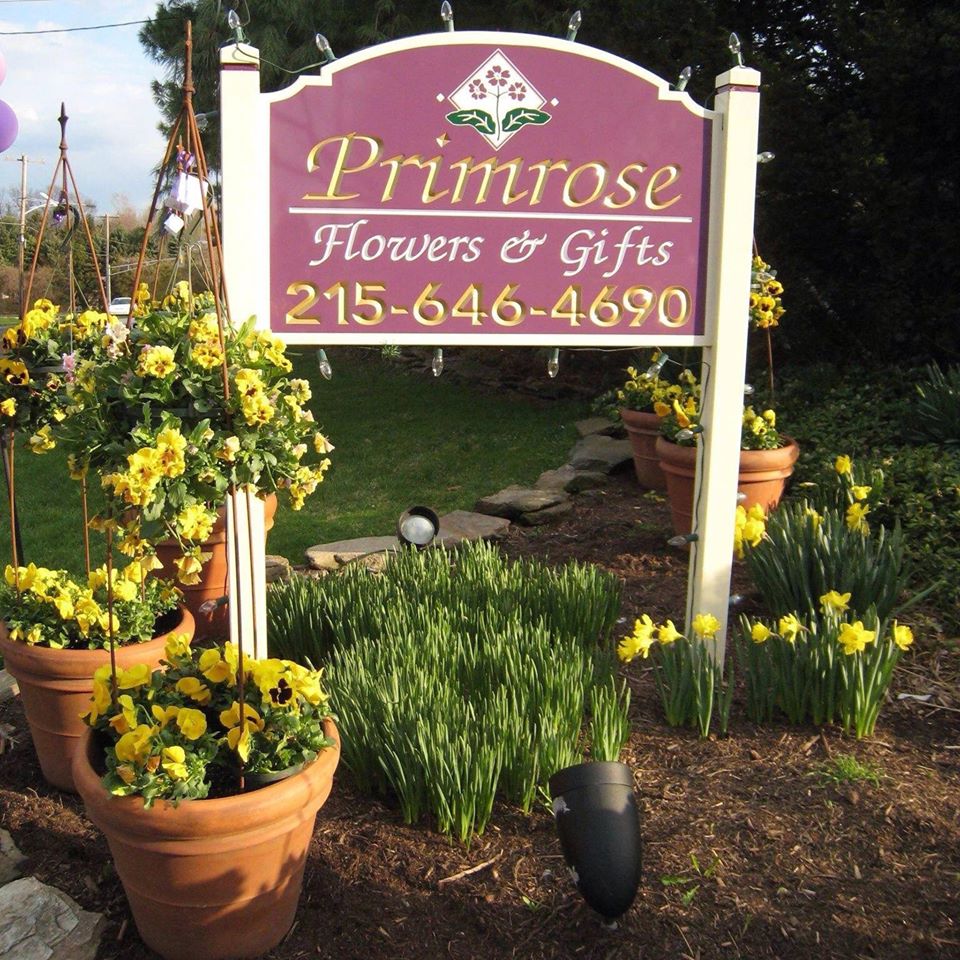 About Primrose Extraordinary Flowers Dresher, PA Florist
