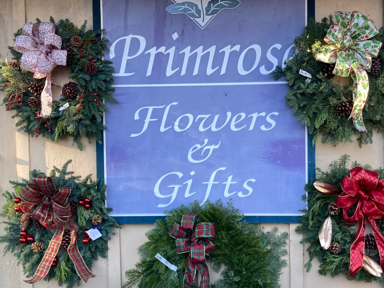 Dresher Florist Flower Delivery by Primrose Extraordinary Flowers