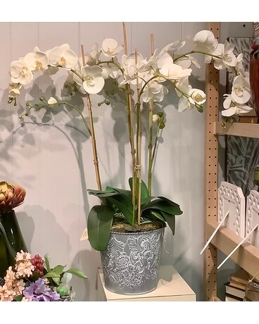 Orchids Silk Arrangement Flower Arrangement