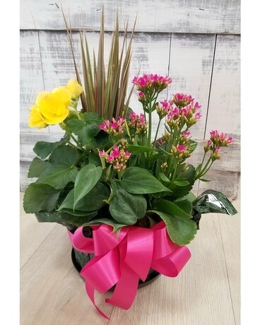 Large Blooming Dish Garden Flower Arrangement