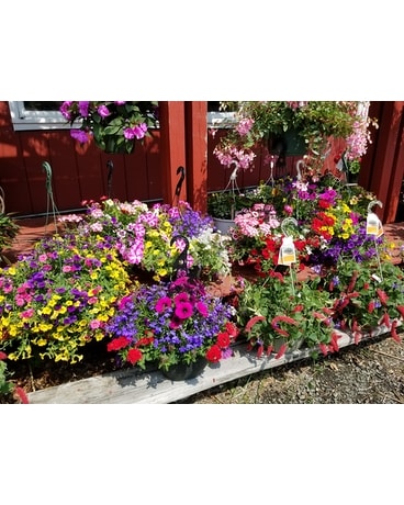 Colorful Combo Basket Flower Arrangement