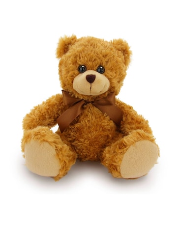 Valentines Bear Gifts