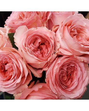 Gift Card Flower Arrangement