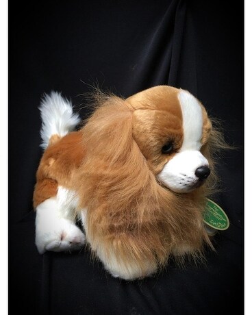 Bearington SADIE Gifts