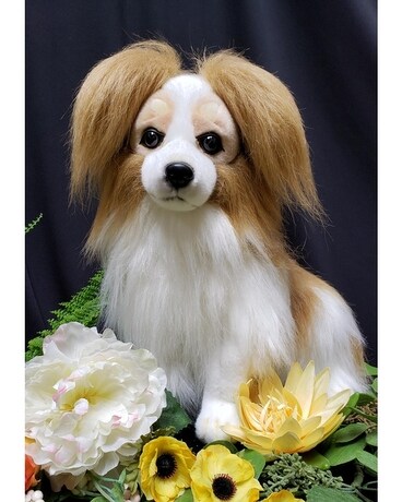 PAPILLION PUP Gifts