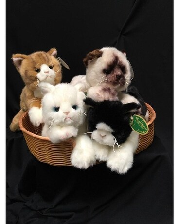 Bearington Cats Gifts
