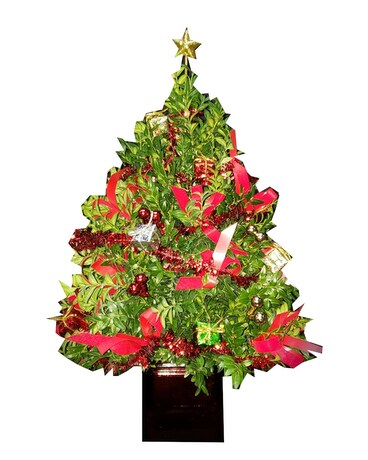 NAGENGAST TRADITIONAL BOXWOOD TREE! Flower Arrangement