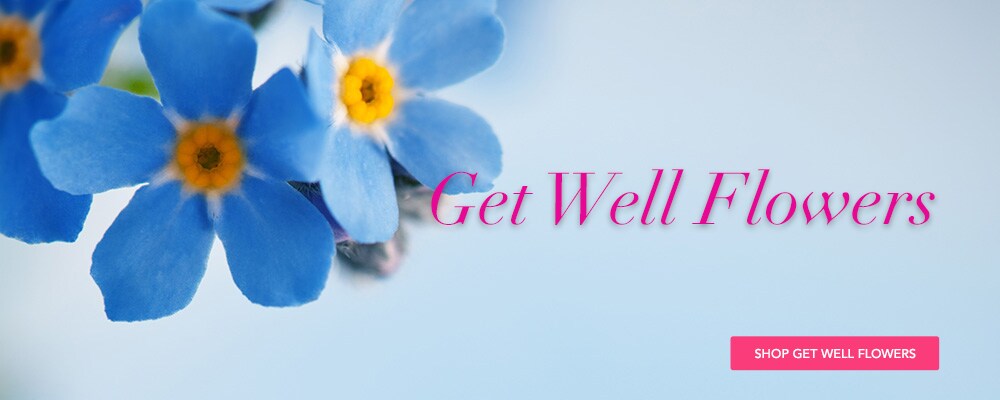 Beautiful Seasonal Flowers Banner