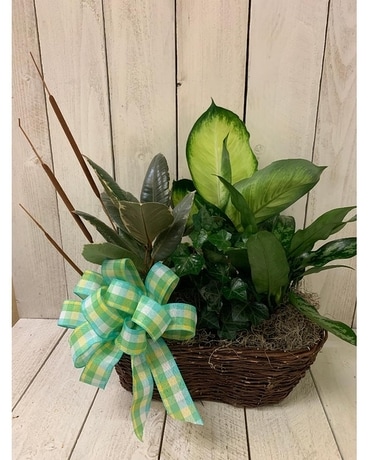 Spring Pond Garden Basket Plant