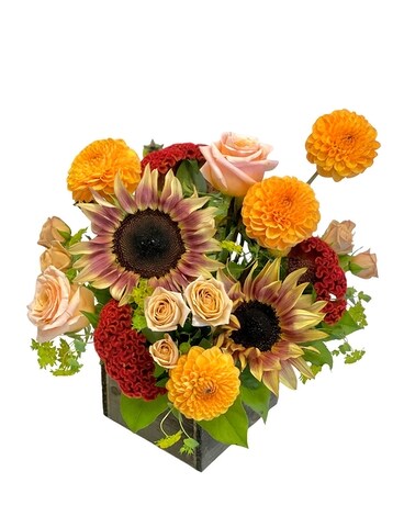Blazing Sun Flower Arrangement
