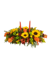 Deluxe size,  inches height and  inches wide.