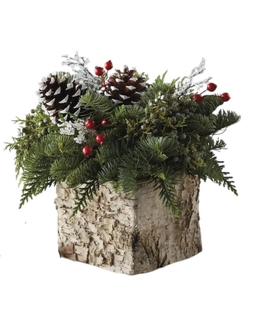 Holiday Birch Flower Arrangement