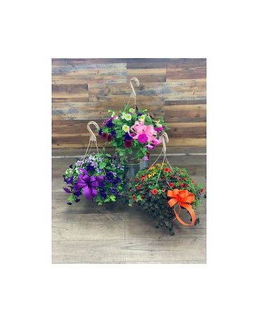 Hanging Haven Plant