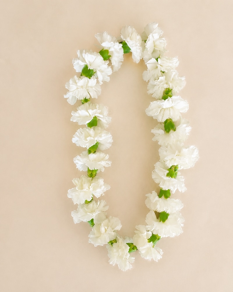 Carnation Lei in Kennewick WA - Shelby's Floral