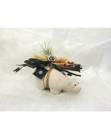 Nanuk Snow Bear Plant